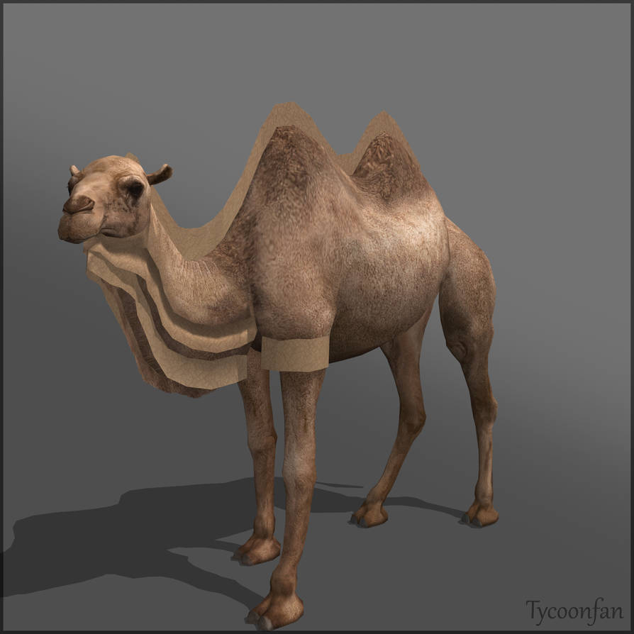 Bactrian Camel Wip By Marcpardo On Deviantart Bactrian Camel Wip By Marcpardo On Deviantart