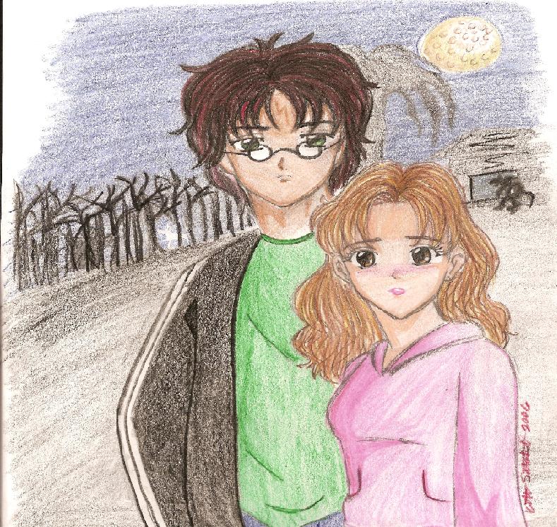 Harry and Hermione 2