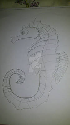 Seahorse