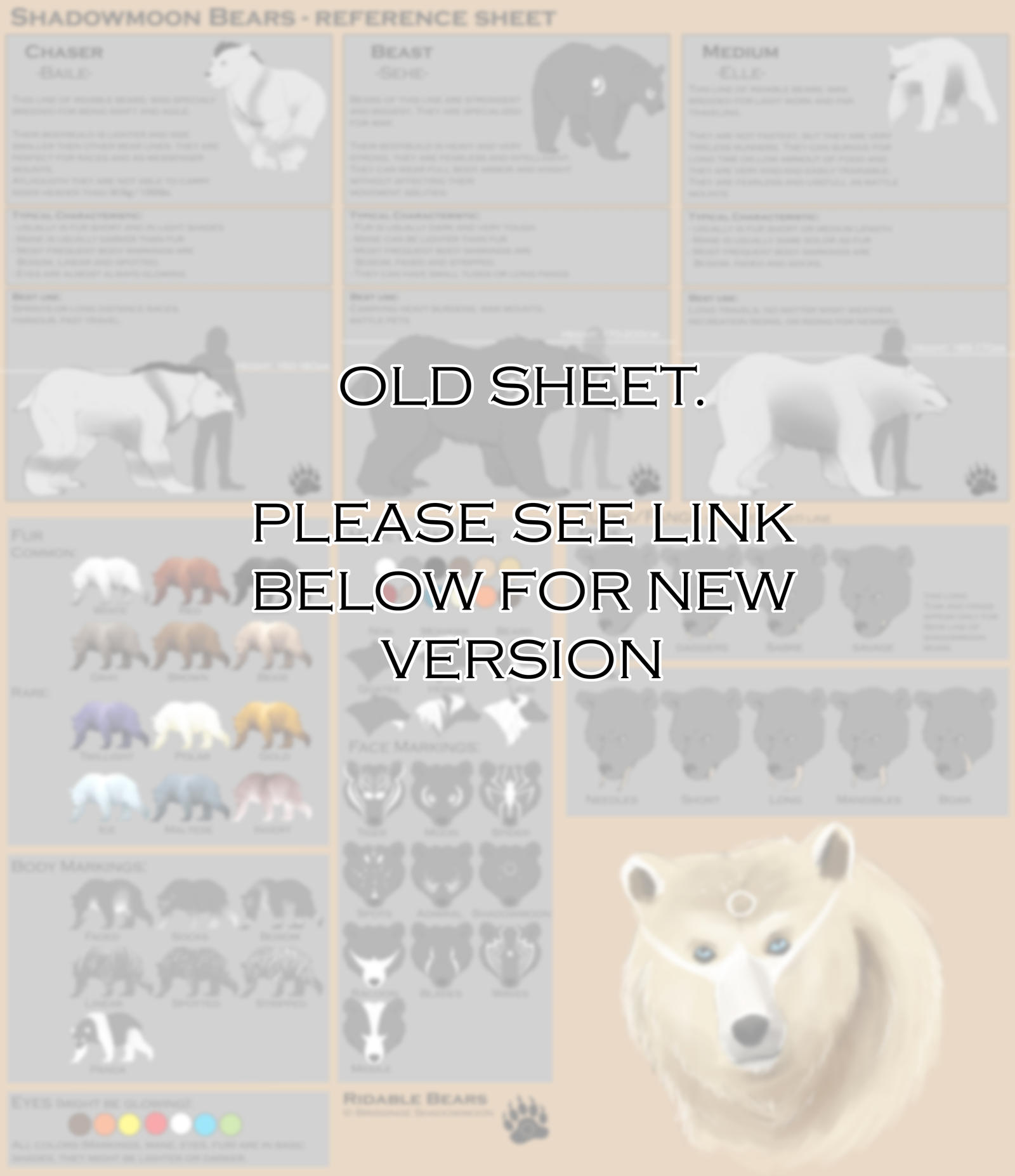 *OLD*Shadowmoon Bears - Reference sheet