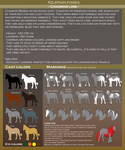 Kelephan ponies breeds - Chaimois