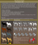 Kelephan ponies breeds - Chaimois by WoC-Brissinge