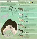 Sava'aggans breeds - Silura by WoC-Brissinge
