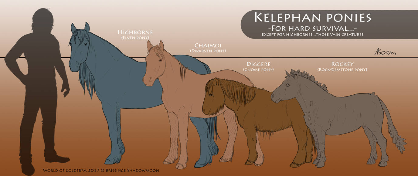 Kelephan Ponies - Basic summary by WoC-Brissinge Kelephan Ponies - Basic summary by WoC-Brissinge