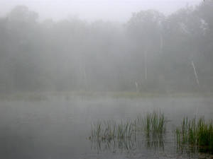 Foggy Lake   3 By Mamat06 by WoC-Brissinge