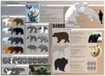 Shadowmoon Bears - Reference sheet by WoC-Brissinge