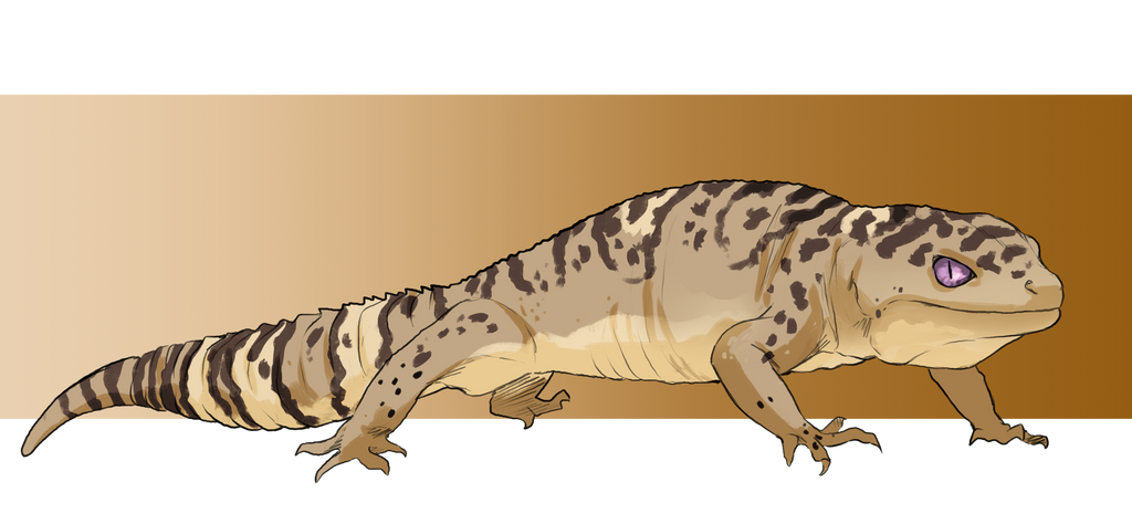 Gecko Deviantart Custom gecko 4 by WoC-Brissinge on DeviantArt