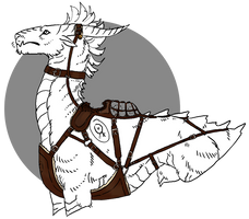 Crafted: Ray's tack