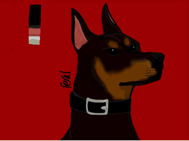 Doberman (I think)