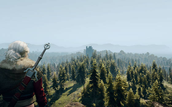 Witcher3