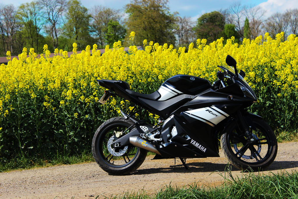 Yamaha R125 Yellow Flowers by Krajow on DeviantArt