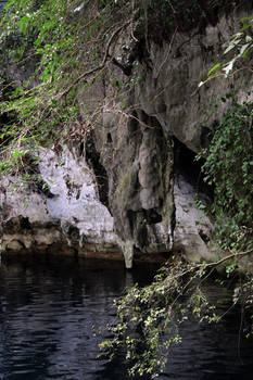 Mexique Cenote of Valladolid 14