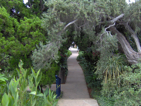 Garden Path