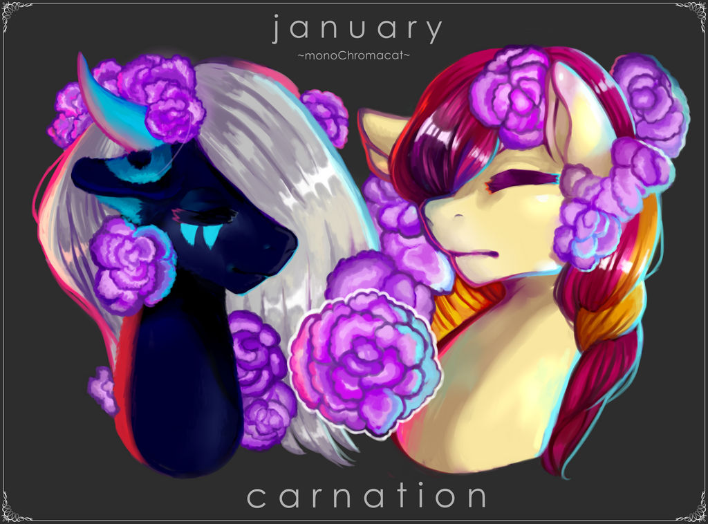 January ~ Carnation