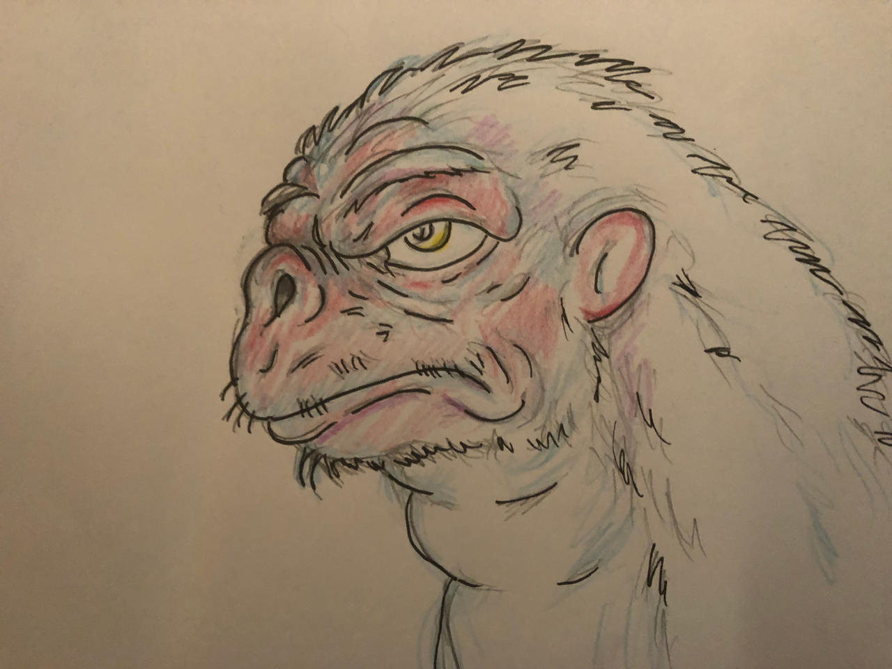 Monkey by Krispinus on DeviantArt