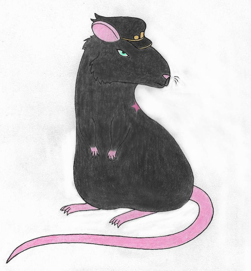 Rat Jotaro by SonBatArt on DeviantArt