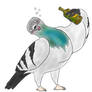 Drunk Pigeon is Drunk