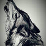 howling wolf head 3