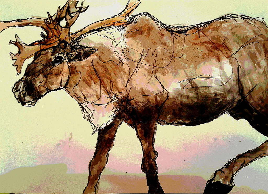 Deviantart Reedster Reindeer 5 by whydoyoucaresomuch on DeviantArt