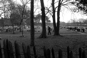 old man in the graveyard