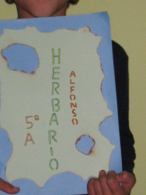 Herbario