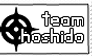 Team Hoshido