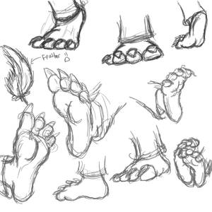 Sketches of Zack's feet