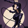 Catwoman (colors)