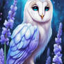 D-UP : 'Amongst the petals of Lavender's Embrace.'