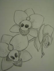 Skull Orchids