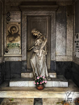 CIMITERO DI VOGHERA - FOTO VALENTINA MARIANI