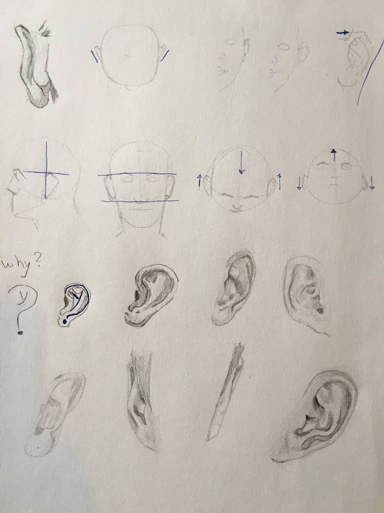 Ear Study by manadabes on DeviantArt