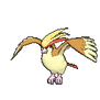 Pidgeot