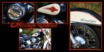 Harley Softail by choose2bgr8
