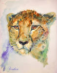 Cheetah_watercolour by Venlian