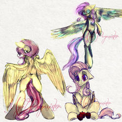 Week 1 / Fluttershy Sketches :P