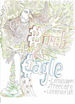 birch and eagle