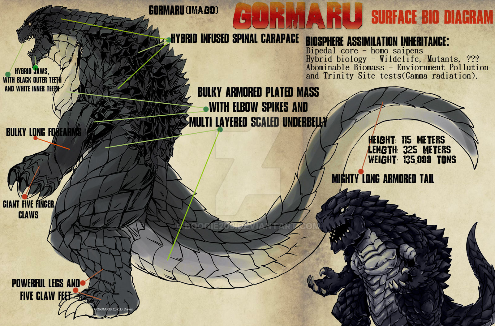 GORMARU (Imago)- Surface Bio Diagram Documentation