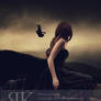 Flying Lessons