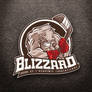 Blizzard logo