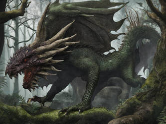 Forest Dragons: Saga 1 