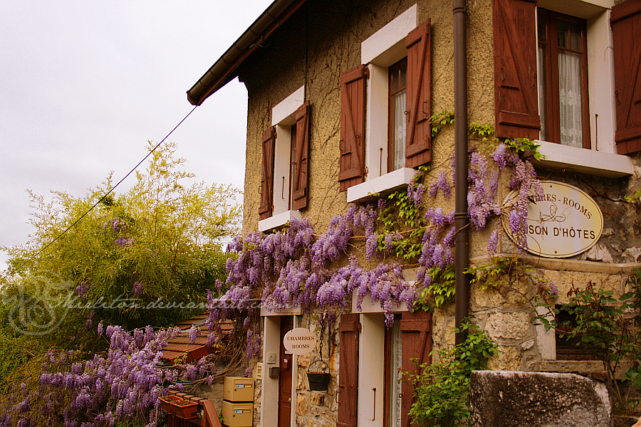 Maison d'Hotes