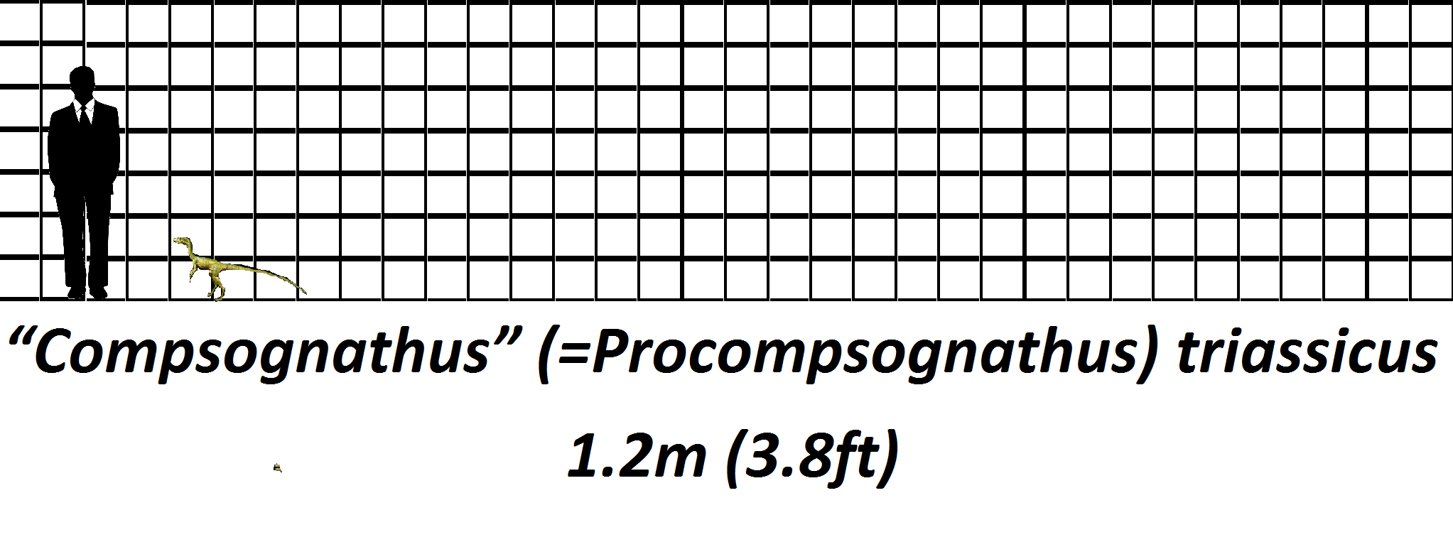 Jurassic Park Compy Size Chart