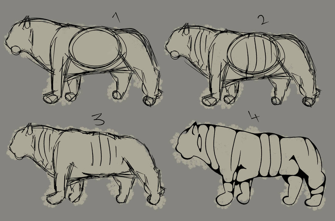 Tiger Anatomy Practise 2 by Padutonn on DeviantArt