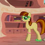 Me as a PONY~!