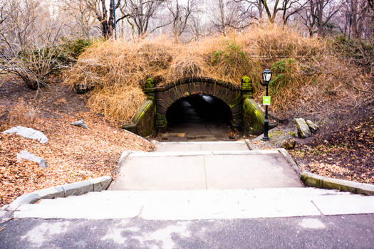 Wild tunnel