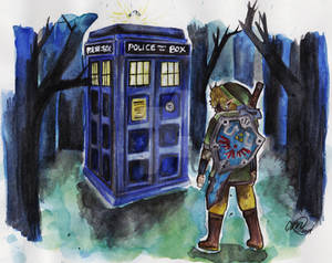 Link stumbles upon The TARDIS