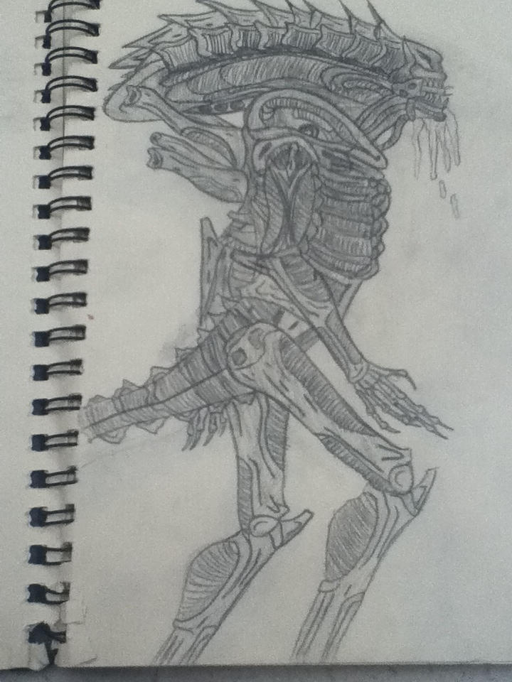 Advanced Alien Drawing My most detailed alien drawing by predator747 on DeviantArt