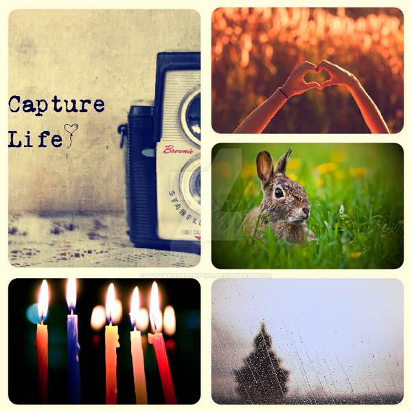 Capture Life