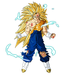 Vegetto ssj3